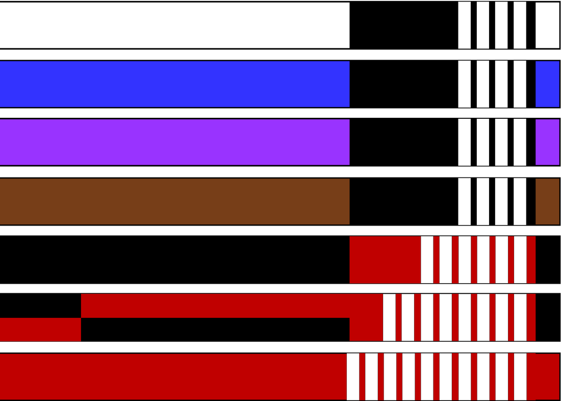 How Long Does it Take to Get an Understanding of BJJ?
