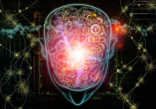 Tricks to Develop Your BJJ Competitor Mind