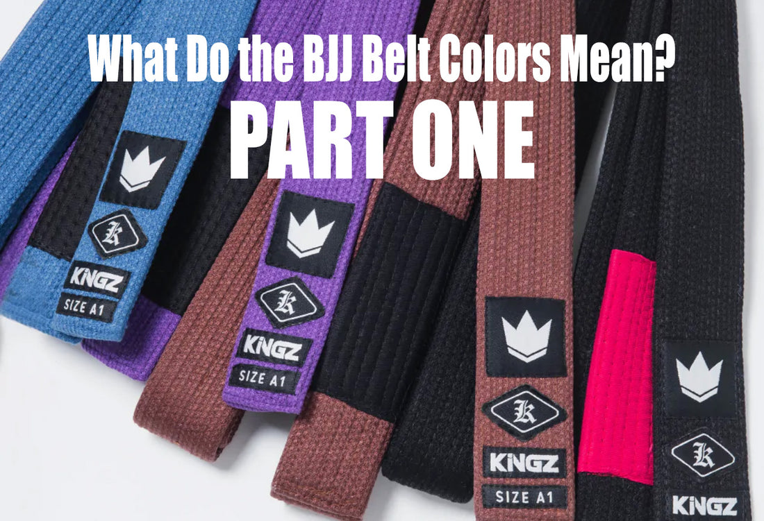 bjj belt colors mean
