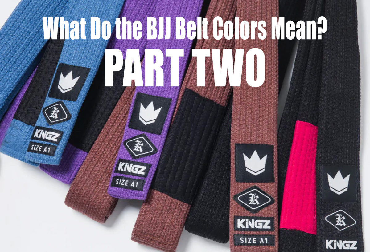 What Do the BJJ Belt Colors Mean: Part 2 – Fighters Market