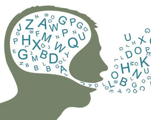 BJJ Beginner's Guide: The Jiu Jitsu Lingo