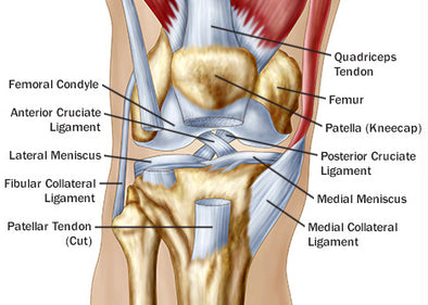 GUIDE: Knee Injuries in BJJ