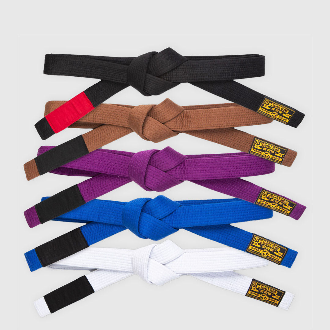 Brazilian Jiu-Jitsu Belt Ranking System - Grappling University Martial Arts