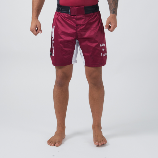 Kingz Born To Rule Fight Shorts - Fighters Market